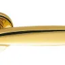 Дверна ручка Colombo Design Daytona PF11 полірована латунь (6407)
