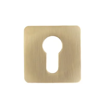Дверна накладка під ключ Colombo Design PT 13 матове золото (Bold, RoboquattroS) (22834)