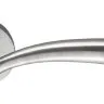 Дверная ручка Colombo Design Edo MH11 матовый хром (3845)