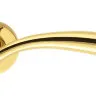 Дверна ручка Colombo Design Edo MH11 полірована латунь (10877)