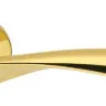 Дверная ручка Colombo Design Flessa CB51 полированная латунь 50мм розетта (24585)