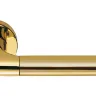 Дверная ручка Colombo Design Taipan LC11 полированная латунь/матовое золото 50мм розетта (24144)