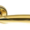 Дверная ручка Colombo Design Talita LC21 полированная латунь/матовое золото (2821)