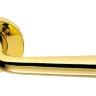 Дверная ручка Colombo Design Tender MG  11 полированная латунь (1032)