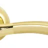 Дверна ручка Firenze Luxury Capri полірована латунь/матова латунь R ф/з (33105)