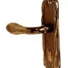 Дверна ручка на планці RDA Antique Collection чорний нікель/золото (26029)