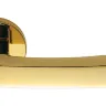 Дверна ручка Colombo Design Viola AR 21 полірована латунь (5856)