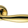Дверная ручка Colombo Design Mach CD81  полированная латунь (2781)