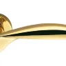 Дверна ручка Colombo Design Wing DB 31 полірована латунь (2914)