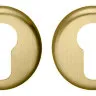 Дверна накладка під ключ Colombo Design CD 63 матове золото (Robot, Robodue, Heidi, Libra, Ludus, Sirio, Tempo) (4571)