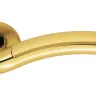 Дверна ручка Colombo Design Milla LC 31 полірована латунь, матове золото (10967)