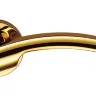 Дверна ручка Colombo Design Olly LC61 полірована латунь (15703)