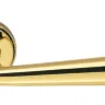 Дверна ручка Colombo Design Robodue CD 51 полірована латунь 50мм розетта (24186)